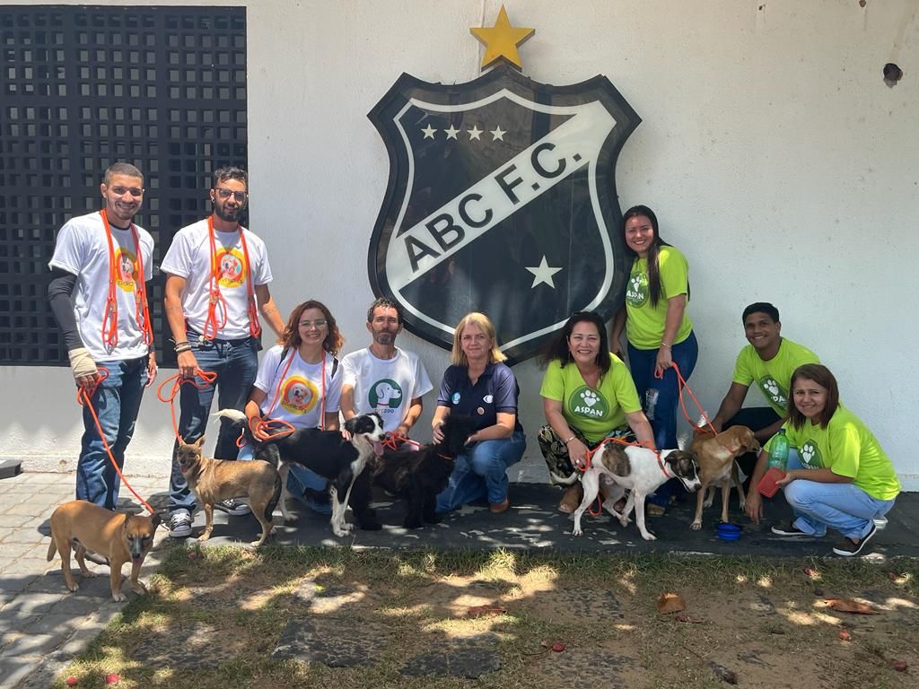 ABC entra em campo com 11 cães vítimas de maus-tratos - BAND RN: Portal de Notícias, Vídeos, Imagens, Entrevistas, Debates e Transmissões Ao Vivo, diretamente da TV BAND RN ABC entra em campo com 11 cães vítimas de maus-tratos - BAND RN: Portal de Notícias, Vídeos, Imagens, Entrevistas, Debates e Transmissões Ao Vivo, diretamente da TV BAND RN
